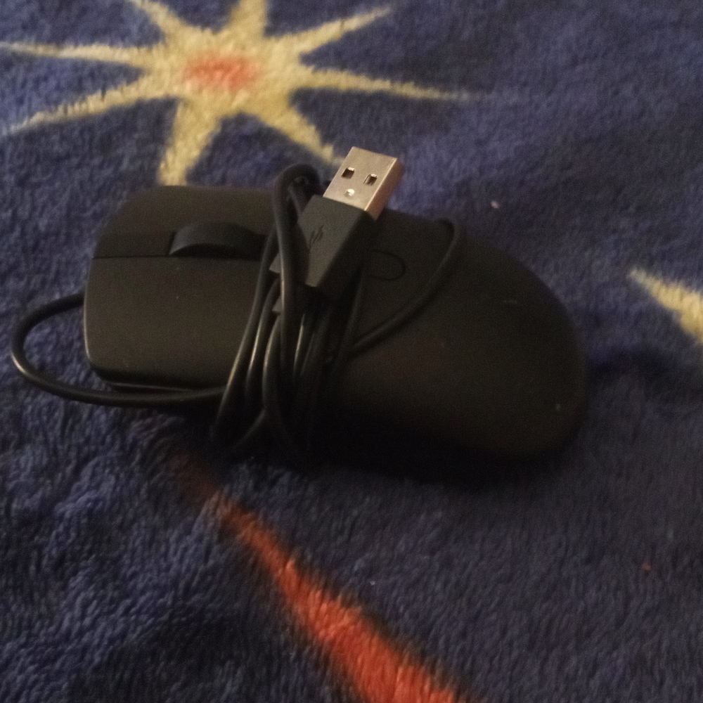 Mouse